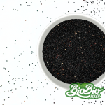 Quinoa Negra