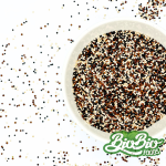 Quinoa Tricolor