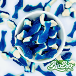 Tiburón blueberry Docile